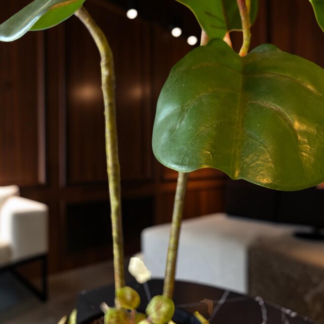 光触媒 観葉植物 ウォールグリーン フェイクグリーン ニュー