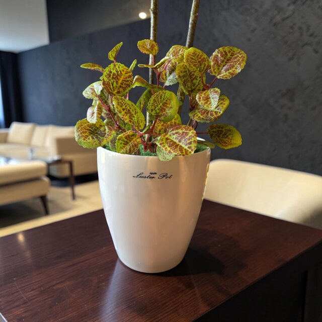 光触媒 観葉植物 ウォールグリーン フェイクグリーン ニュー