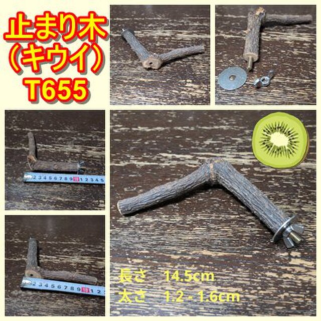 止まり木（枝：TOY-08-015）T655 | iichi 日々の暮らしを心地よくする