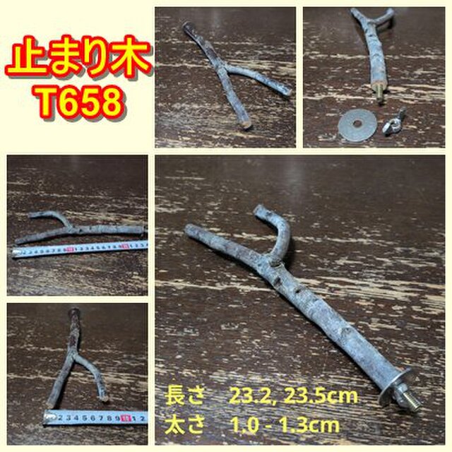 Y字止まり木（枝：TOY-08-015）T658 | iichi 日々の暮らしを心地よく