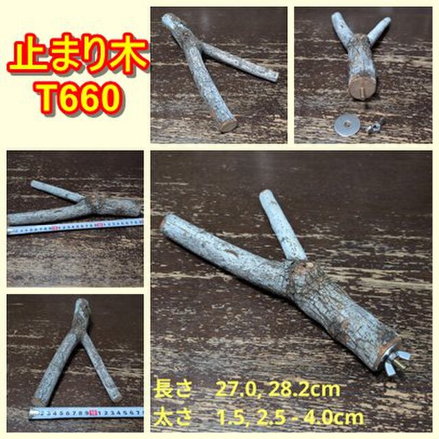 少し大きな二股止まり木（枝：TOY-08-015）T660 | iichi 日々の暮らし