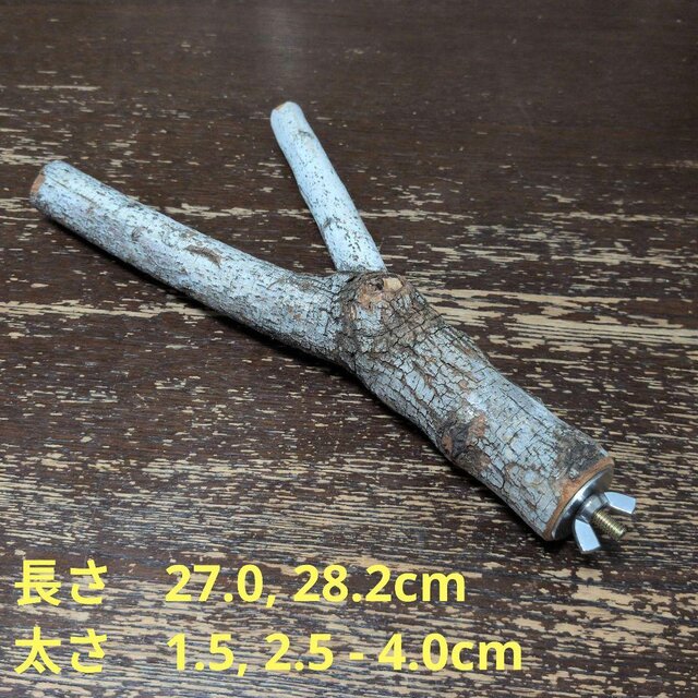 少し大きな二股止まり木（枝：TOY-08-015）T660 | iichi 日々の暮らし