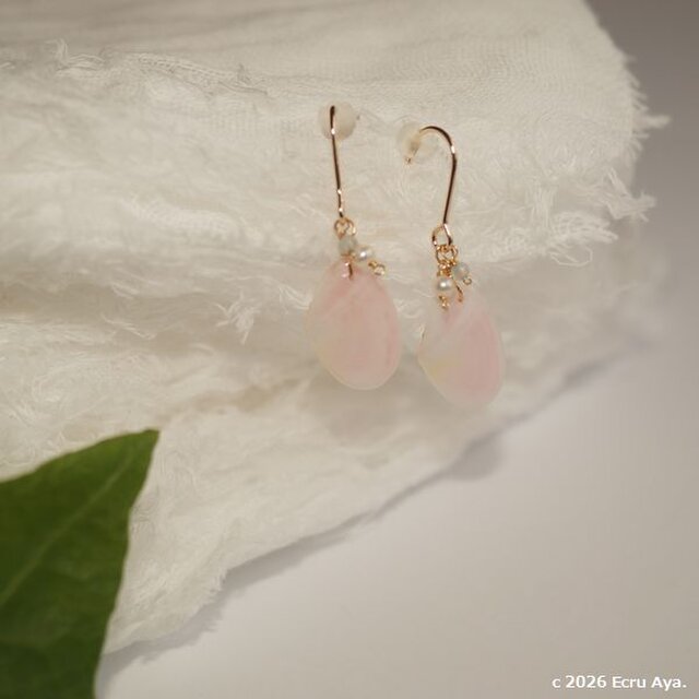 夏に還る* 桜貝とあこやのピアス | iichi 日々の暮らしを心地よくする 夏に還る* 桜貝とあこやのピアス | iichi 日々の暮らしを心地よくする