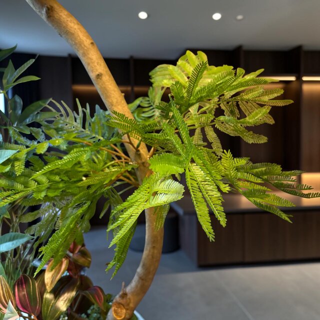光触媒　人工観葉植物　ウォールグリーン　フェイクグリーン　エバーフレッシュ1.0 光触媒 人工観葉植物 ウォールグリーン フェイクグリーン
