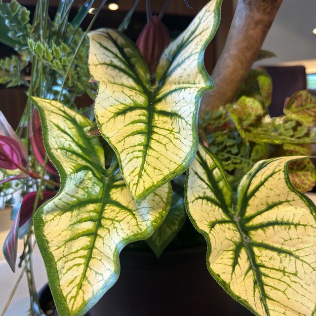 光触媒 人工観葉植物 ウォールグリーン フェイクグリーン