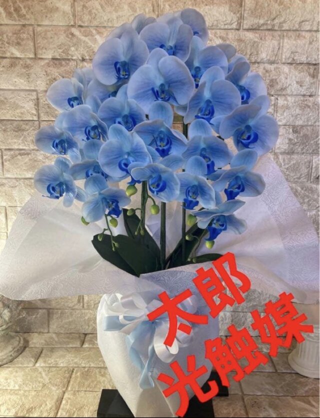 光触媒 人工観葉植物 ウォールグリーン フェイクグリーン リアル胡蝶蘭