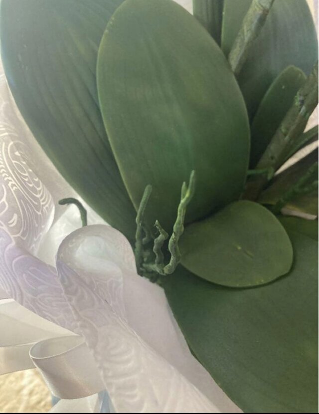光触媒 人工観葉植物 ウォールグリーン フェイクグリーン リアル胡蝶蘭