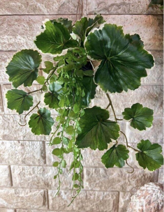 光触媒 観葉植物 ウォールグリーン フェイクグリーン ポトスアイビーと
