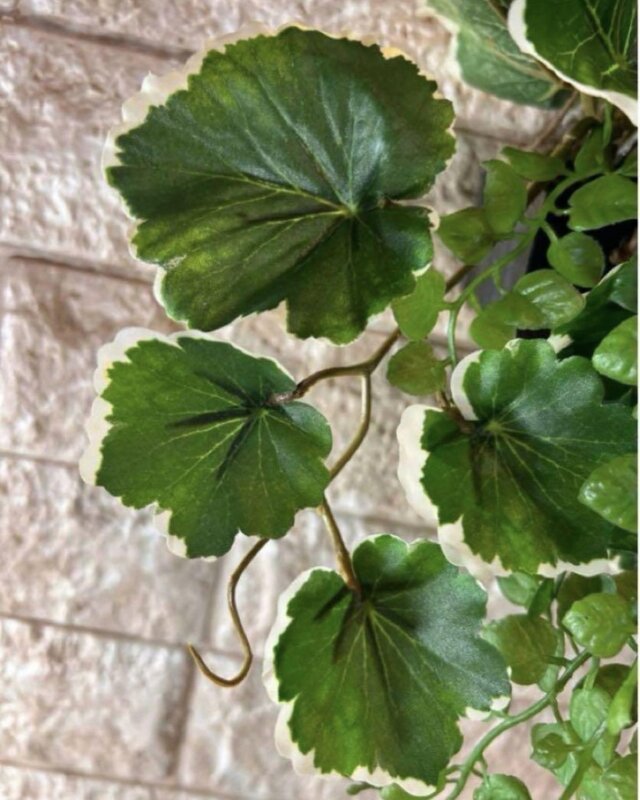 光触媒 観葉植物 ウォールグリーン フェイクグリーン ポトスアイビーと