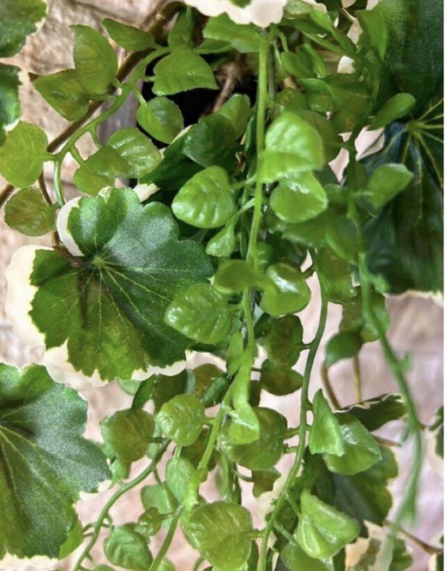光触媒 観葉植物 ウォールグリーン フェイクグリーン ポトスアイビーと