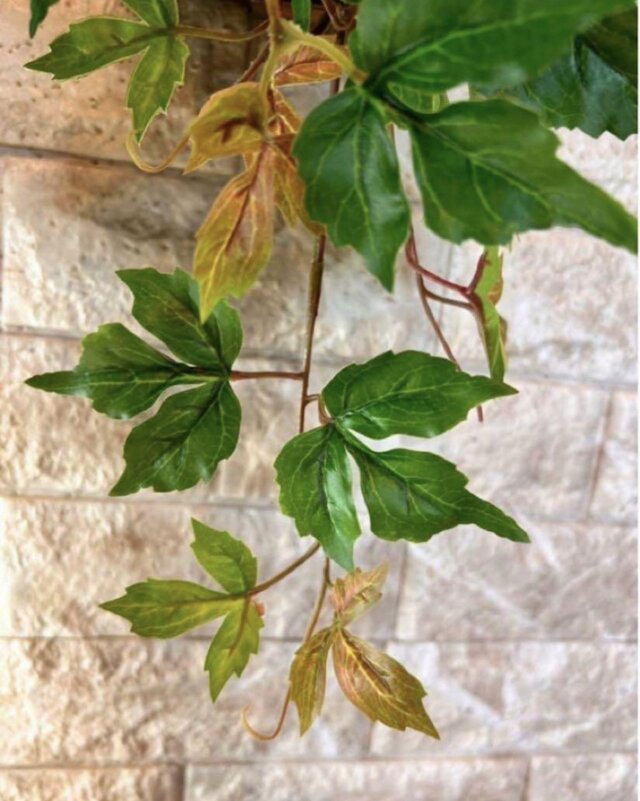 光触媒 観葉植物 ウォールグリーン フェイクグリーン ポトスアイビーと