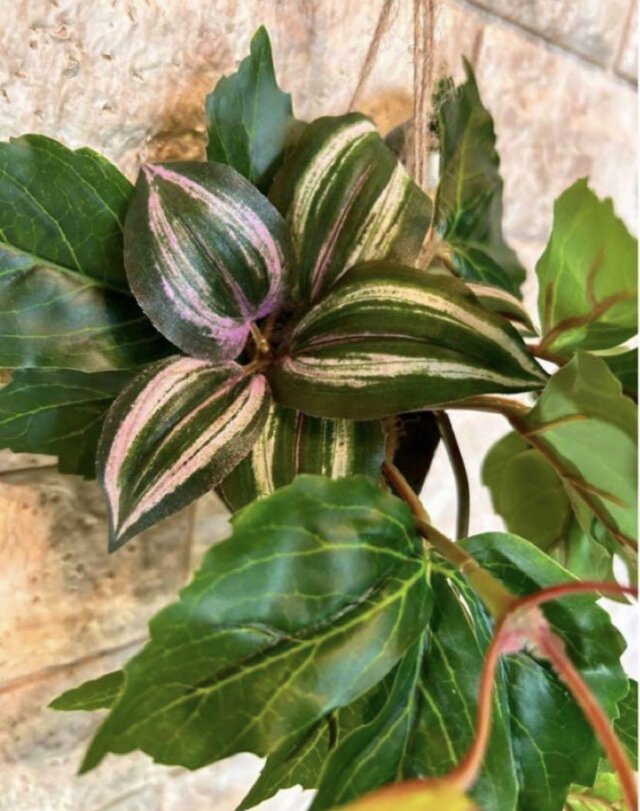 光触媒 観葉植物 ウォールグリーン フェイクグリーン ポトスアイビーと