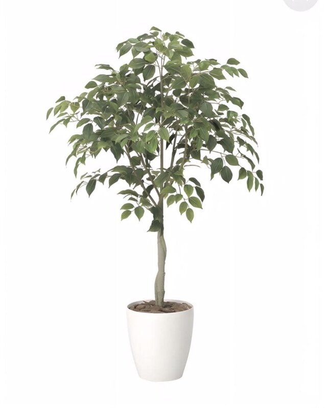 光触媒 人工観葉植物 ウォールグリーン フェイクグリーン フィカス