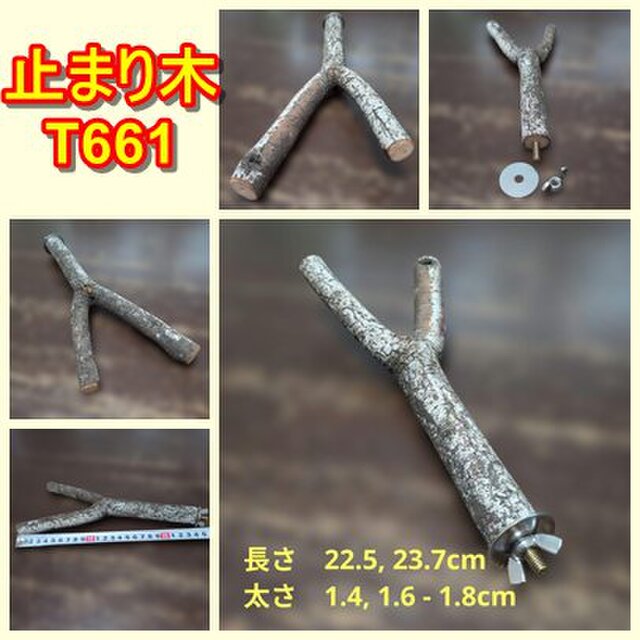 二股止まり木（枝：TOY-08-015）T661 | iichi 日々の暮らしを心地よく