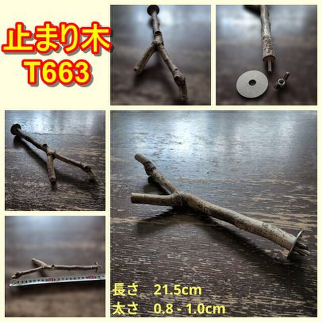 二股止まり木（枝：TOY-08-015）T663 | iichi 日々の暮らしを心地よく