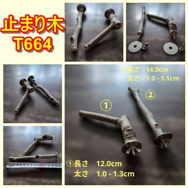 止まり木セット（枝：TOY-08-015）T664 | iichi 日々の暮らしを