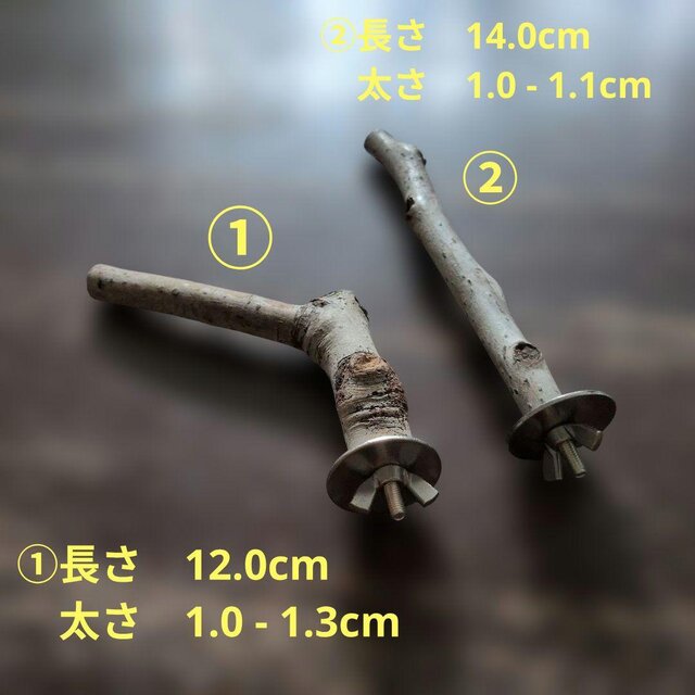 止まり木セット（枝：TOY-08-015）T664 | iichi 日々の暮らしを
