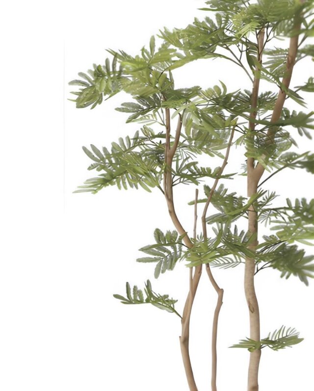 光触媒 人工観葉植物 ウォールグリーン フェイクグリーン ねむの木1.6m
