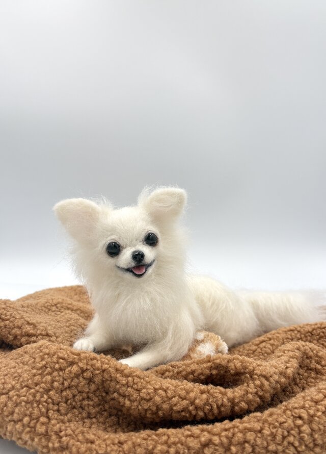 羊毛フェルト　羊毛犬　リラックスチワワ 羊毛フェルト リラックスチワワ ホワイト ロングコート ミニクッション
