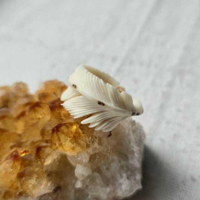 鹿の角 フェザーリング「展開」 約16.5号 | iichi 日々の暮らしを