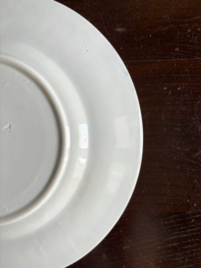 Creil & Montereau クレイユモントロー レリーフ 平皿 フランス
