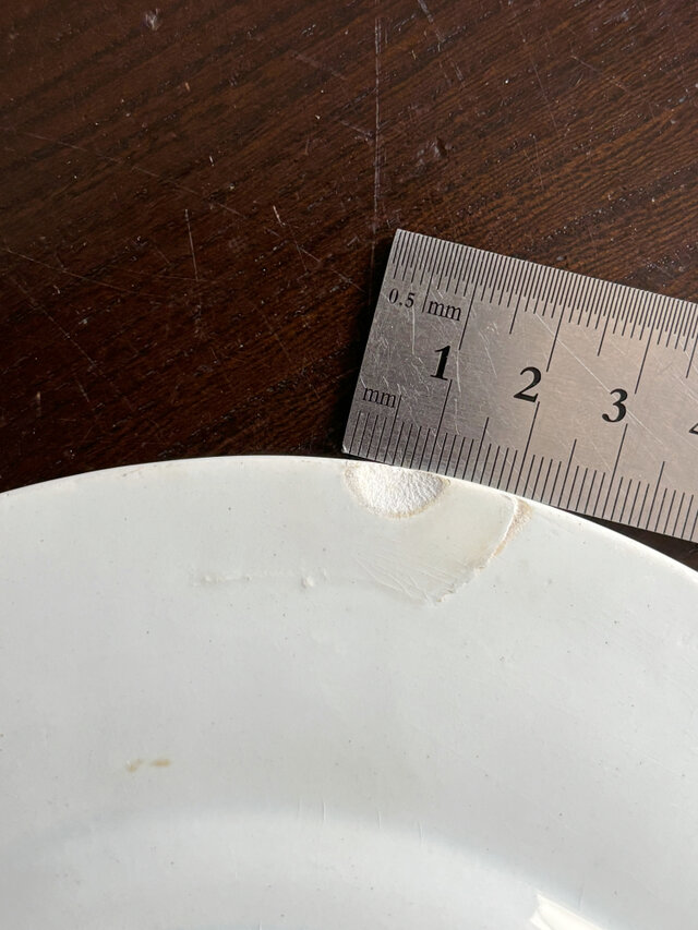 Creil & Montereau クレイユモントロー レリーフ 平皿 フランス