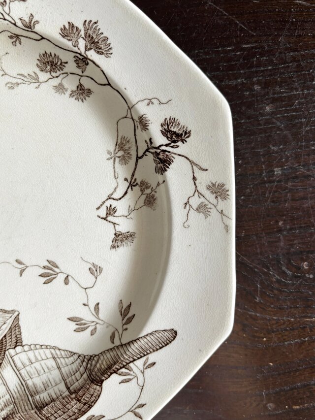 Wedgwood NEPTUNE ウェッジウッド オクトゴナル デザート 平皿