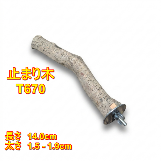 止まり木（枝：TOY-08-015）T670 | iichi 日々の暮らしを心地よくする