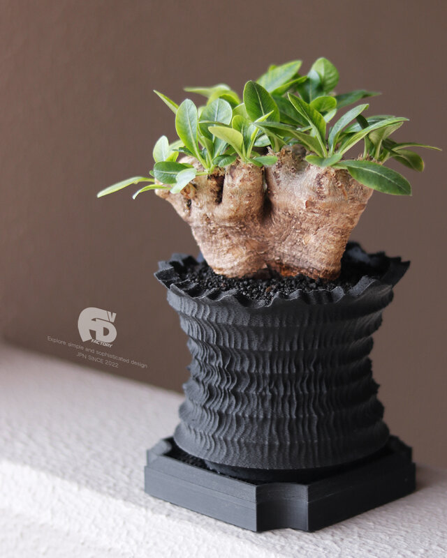 植木鉢 おしゃれ シンプル 黒 プラ鉢 多肉 塊根 コーデックス 観葉 3d