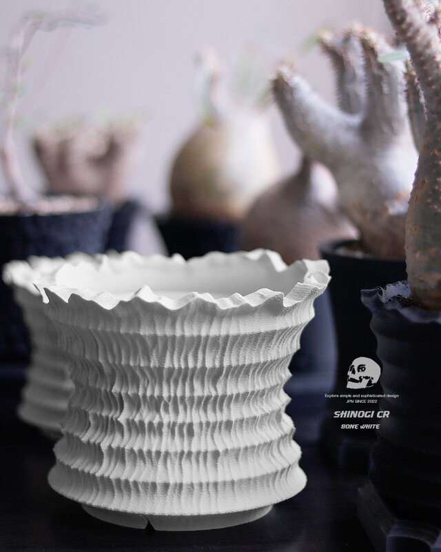 植木鉢 白 おしゃれ シンプル プラ鉢 多肉 塊根 コーデックス 観葉 3d