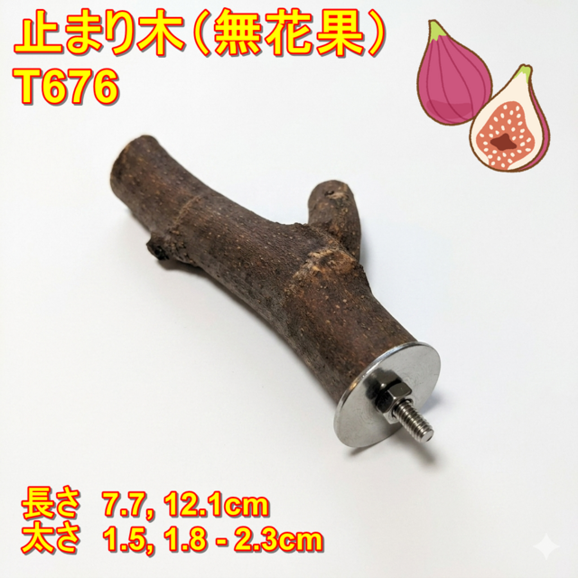 止まり木（無花果枝：TOY-08-015） T676 | iichi 日々の暮らしを