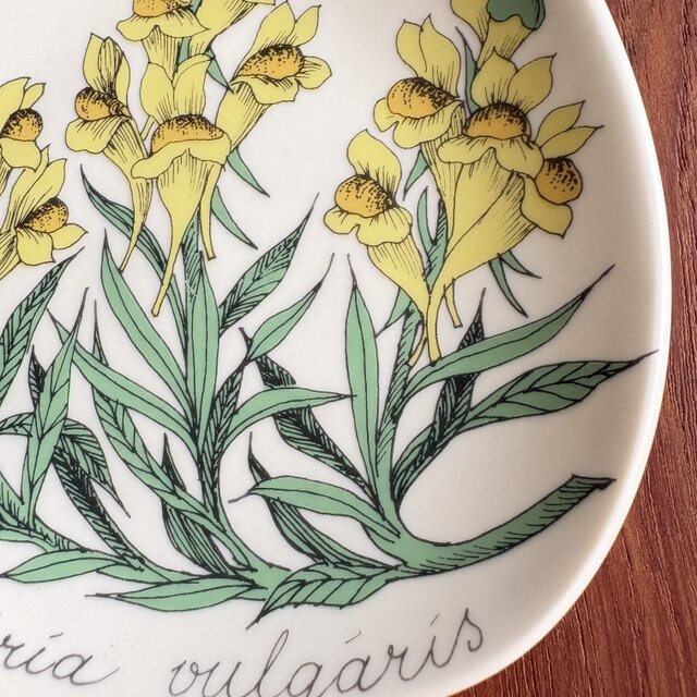 ARABIA Botanica ⋆༶⠜アラビア ボタニカ 黄色のお花の小さなウォール