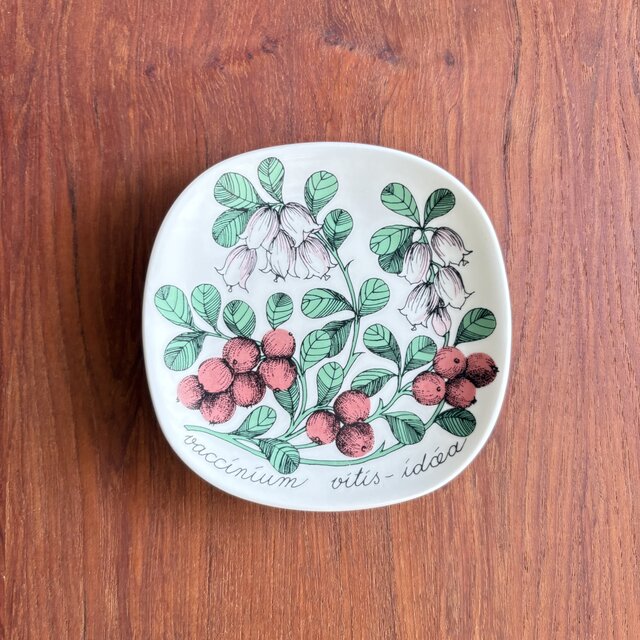 ARABIA Botanica ⋆༶⠜アラビア ボタニカ 森のリンゴンベリーの小さな