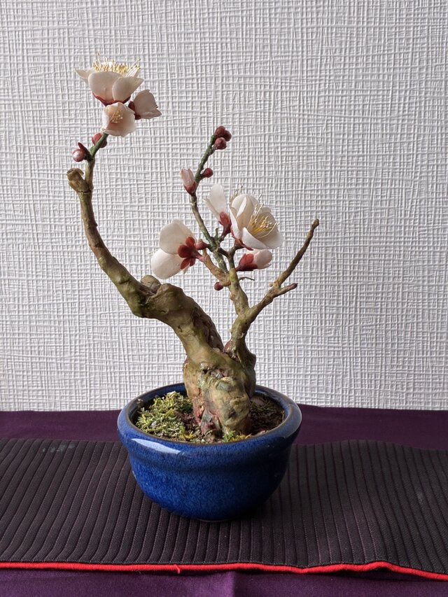 梅盆栽 | iichi 日々の暮らしを心地よくするハンドメイドや