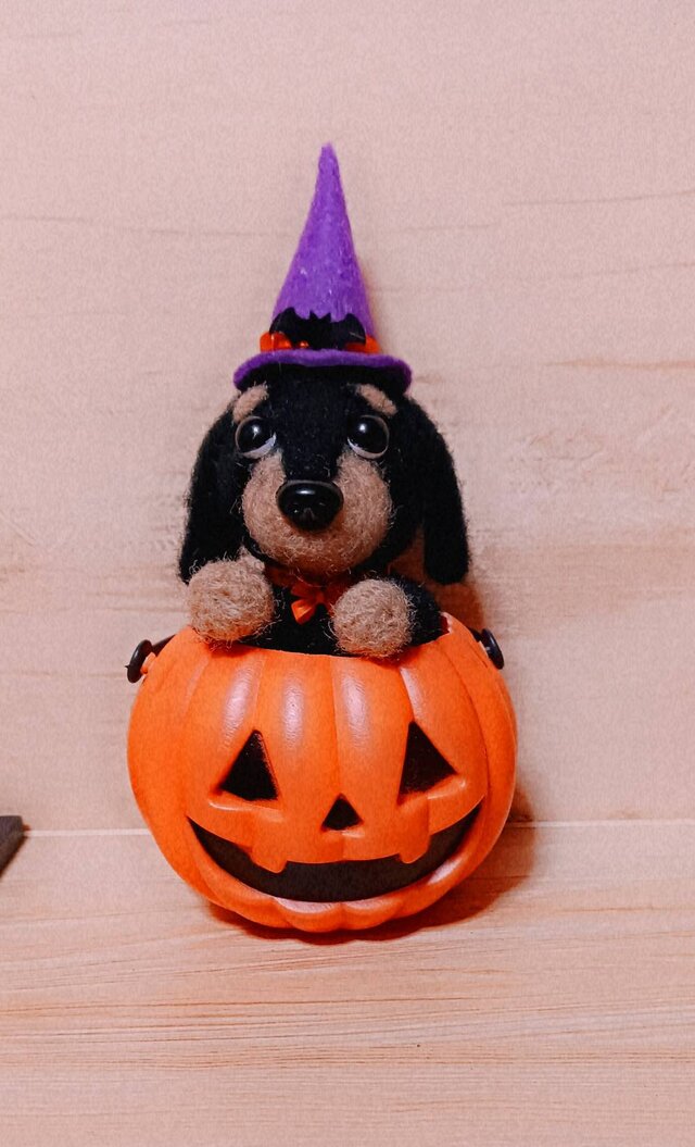 ハロウィン 羊毛フェルト ダックスフンド パンプキン 置物 | iichi