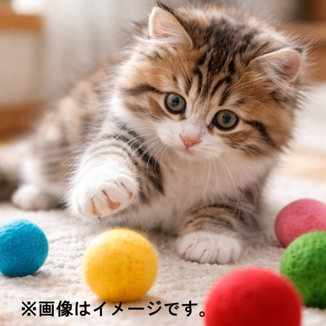 羊毛ボール 猫のおもちゃ 羊毛フェルト 約3,5cm 4個セット インテリア