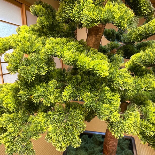 光触媒 人工観葉植物 ウォールグリーン フェイクグリーン 盆栽花器付き