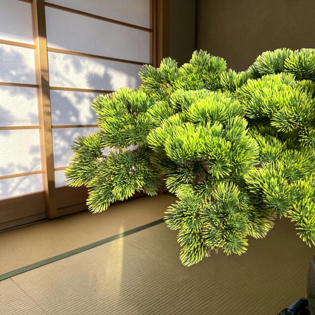 光触媒　人工観葉植物　ウォールグリーン　造花　インテリア　花器 光触媒 人工観葉植物 ウォールグリーン フェイクグリーン 盆栽花器付き