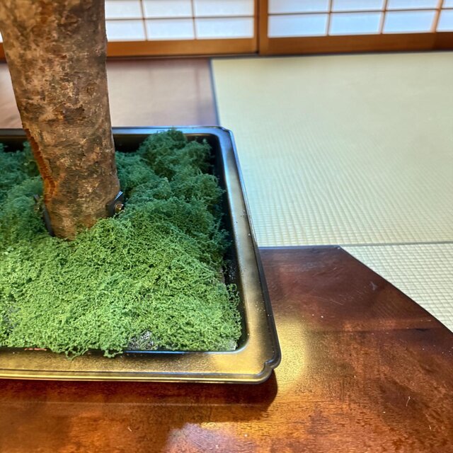 光触媒　人工観葉植物　ウォールグリーン　造花　インテリア　花器 光触媒 人工観葉植物 ウォールグリーン フェイクグリーン 盆栽花器付き