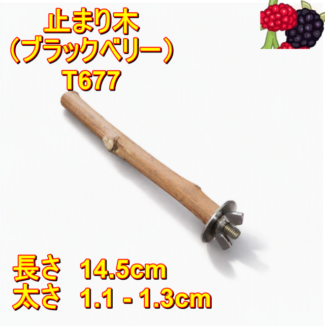 止まり木（枝：TOY-08-015）T677 | iichi 日々の暮らしを心地よくする