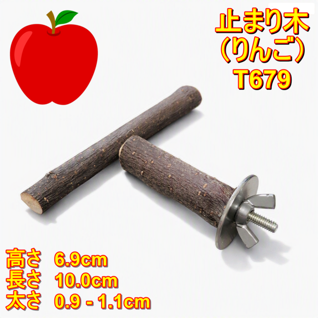 止まり木（枝：TOY-23-004) T679 | iichi 日々の暮らしを心地よくする