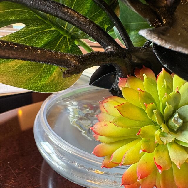 光触媒　造花　人工観葉植物　ウォールグリーン　フェイクグリーン　リュミエール 光触媒 人工観葉植物 ウォールグリーン フェイクグリーン マジカル