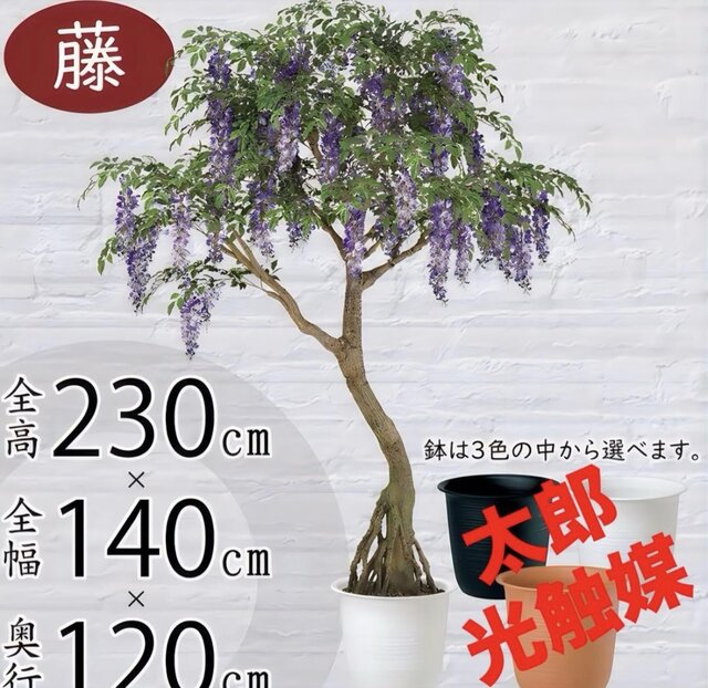 光触媒　人工観葉植物　ウォールグリーン　フェイクグリーン　藤コアッド200 光触媒 人工観葉植物 ウォールグリーン フェイクグリーン 藤コアッド鉢