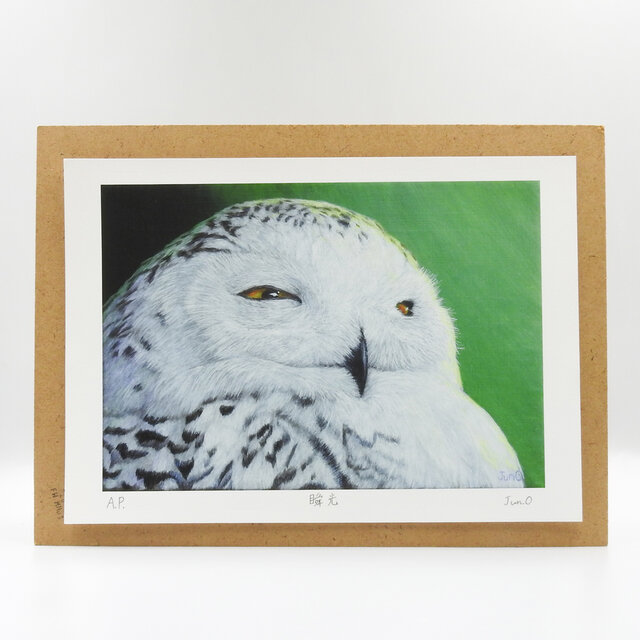 瞬光／フクロウA4・Velvet Fine Art Paper・アートプリント | iichi