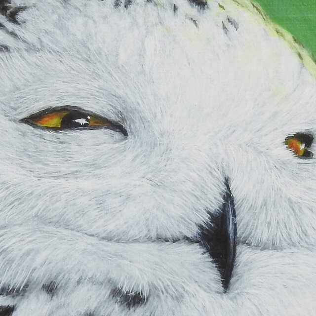 瞬光／フクロウA4・Velvet Fine Art Paper・アートプリント | iichi