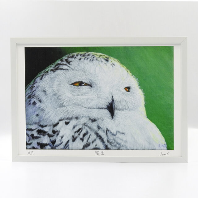瞬光／フクロウA4・Velvet Fine Art Paper・アートプリント | iichi