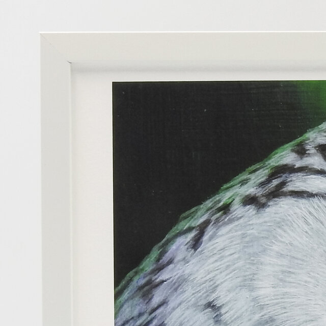 瞬光／フクロウA4・Velvet Fine Art Paper・アートプリント | iichi
