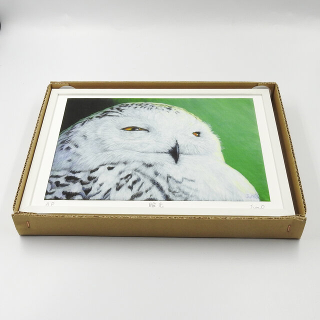 瞬光／フクロウA4・Velvet Fine Art Paper・アートプリント | iichi