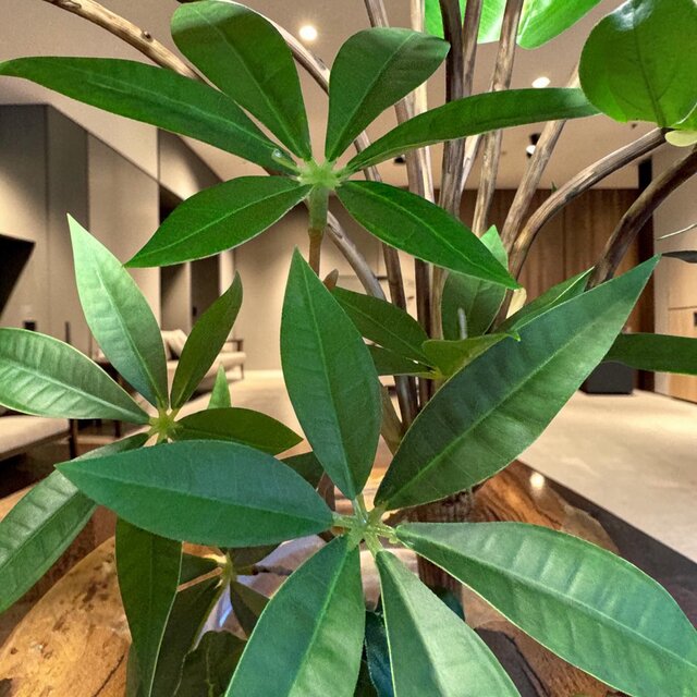 光触媒 人工観葉植物 ウォールグリーン フェイクグリーン マジカル