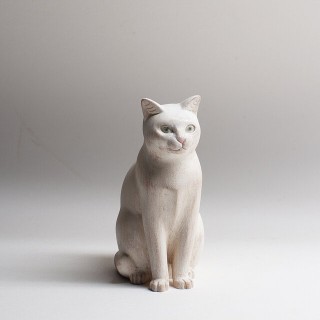 お座り猫 20260916 Sitting cat 20260916 | iichi 日々の暮らしを